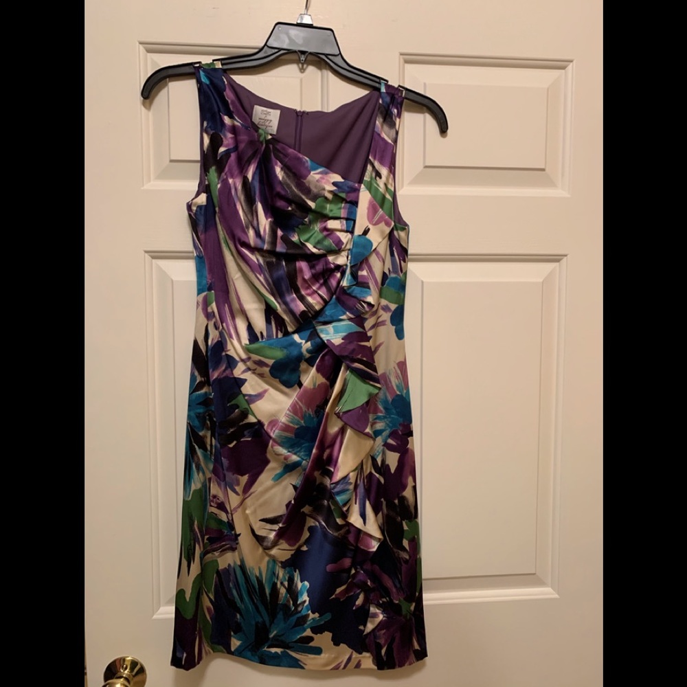 Suzi Chin Dress